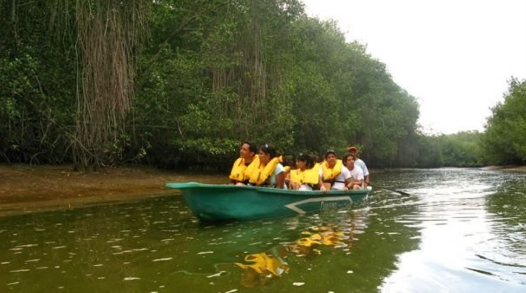 MANGLARES DE TUMBES