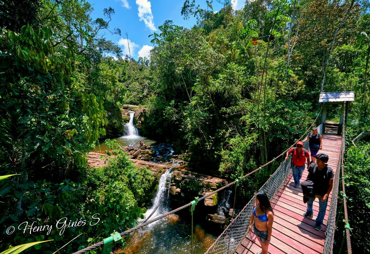 SELVA 2