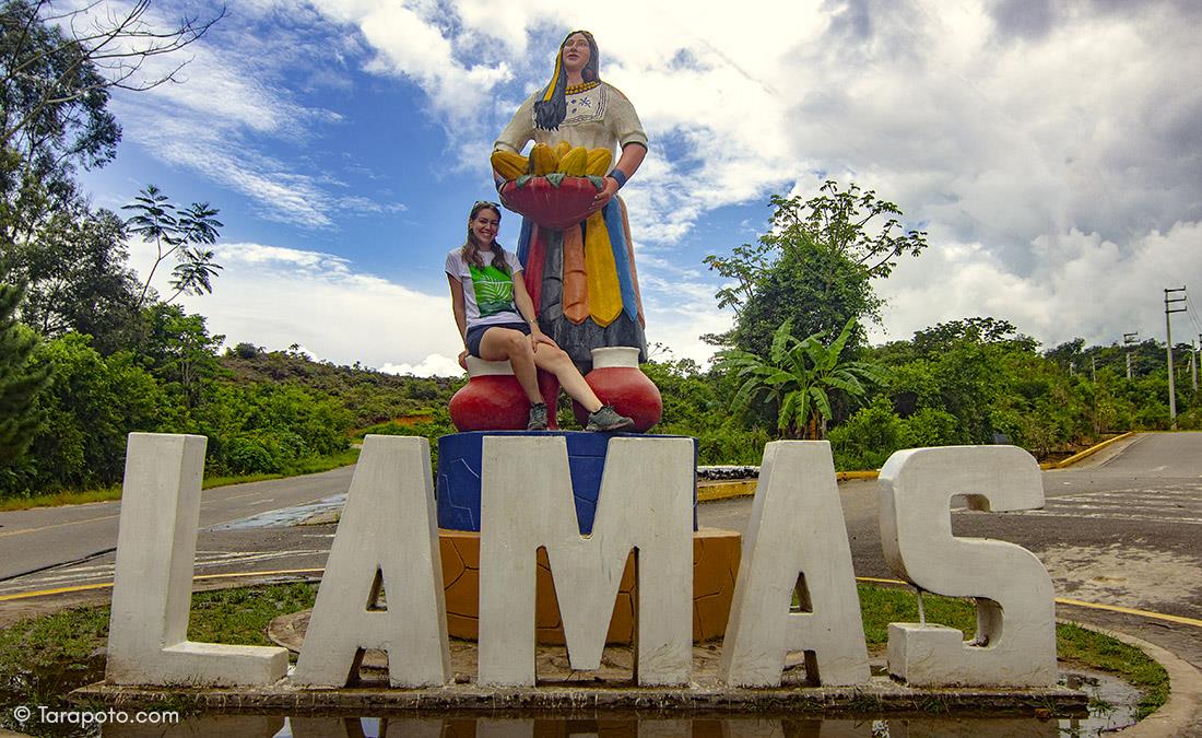 destino-lamas